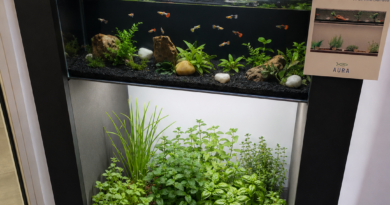 Des systèmes aquaponiques dans les salles de restaurant pédagogique