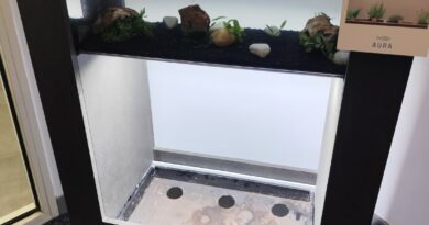 Des systèmes aquaponiques dans les salles de restaurant pédagogique